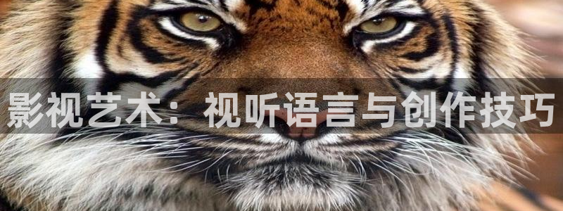 青柠影院在线高清免费观看：影视艺术：视听语言与创作技巧