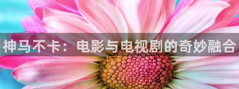 青柠在线观看电影