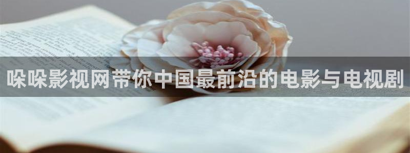 青柠影院免费高清电视剧：哚哚影视网带你中国最前沿的电影与电视剧