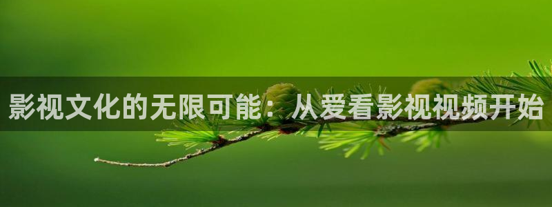 青柠影视在线观看完整版：影视文化的无限可能：从爱看影视视频开始