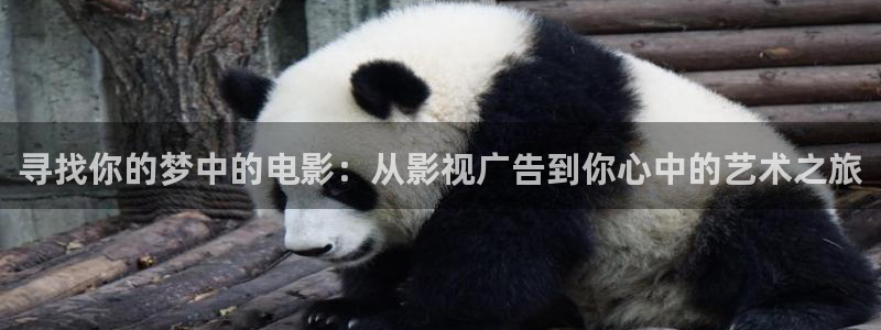 青柠影视在线观看免费：寻找你的梦中的电影：从影视广告到你心中的艺术之旅