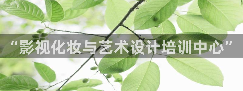 青柠影视在线播放：“影视化妆与艺术设计培训中心”